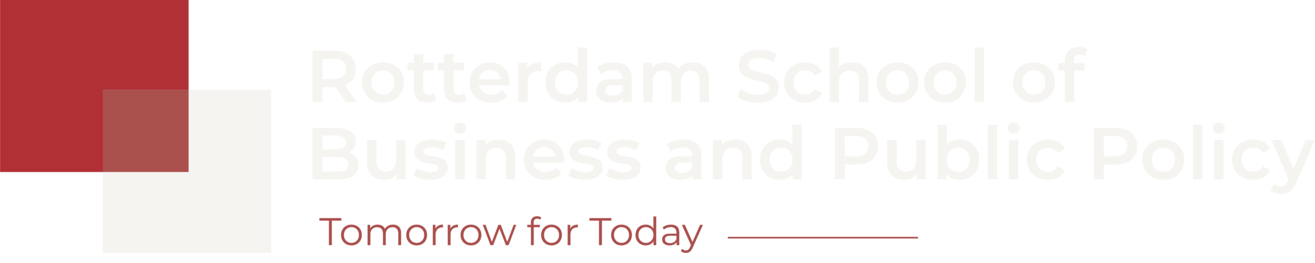 Rotterdam School of Business and Public Policy