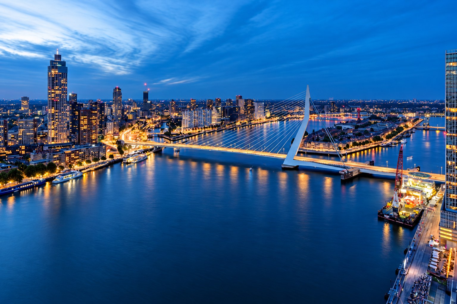 Rotterdam skyline and Erasmus Bridge at blue hour